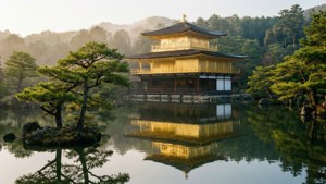 金色寺廟倒映在靜止的水面，伴隨著霧氣籠罩的樹木，黎明時分 — 日本 壁紙