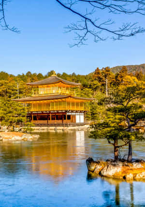 金色寺廟喺水面倒映，有秋天樹木同晴朗天空 — 日本 壁紙