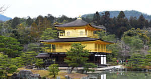 金色寺廟被綠樹和池塘環繞 — 日本 壁紙