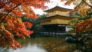 金色寺廟被秋楓環繞，池塘中有錦鯉游動。