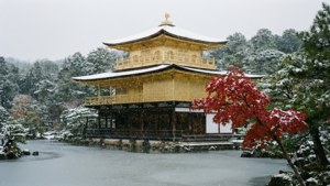 被雪覆蓋的金色寺廟，前景有紅色楓樹