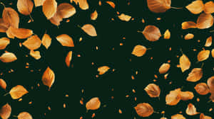金色秋葉落在深綠色紋理背景上 — 7680x4320 壁紙