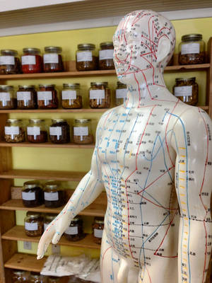 在草藥店展示的帶有經絡線的針灸模型。
