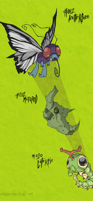 以卡通風格描繪嘅三隻寶可夢角色 Butterfree、Metapod 同 Caterpie。