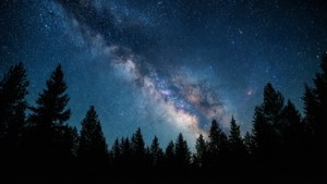 銀河系在夜晚的黑暗松林上空拱起。
