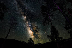 銀河系在夜晚的樹木和山脈剪影上方發光。