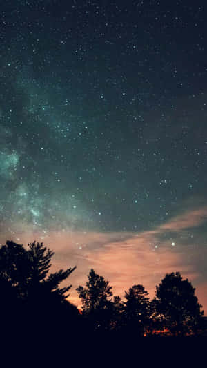在可見銀河的星空下，松樹的剪影。 — 夜空 壁紙