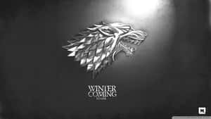 金屬冰原狼徽章，深色背景上帶有 'Winter is Coming Stark' 文字。