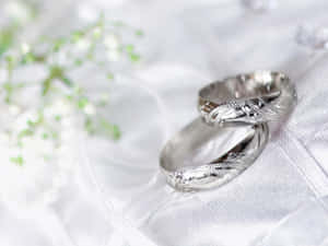 白色布料上兩枚裝飾性銀色結婚戒指與滿天星花朵。 — 中性 壁紙