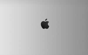 銀色筆記本電腦蓋上的Apple標誌