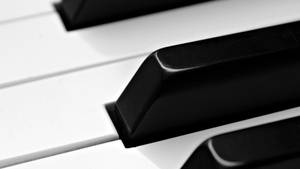 鋼琴鍵盤的特寫，黑白，柔和陰影。 — 鋼琴 GIF 壁紙