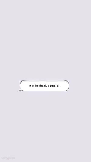 一個對話框，上面寫著「It's locked stupid」，背景為灰色。 — 白色美學gif 壁紙
