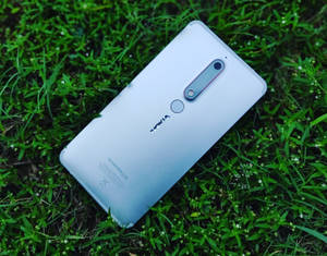 銀色 Nokia 手機放在有小白花的綠色草地上。 — Nokia 壁紙