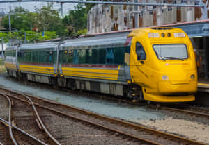 黃色昆士蘭鐵路列車在車站月台，塗鴉建築和綠樹。