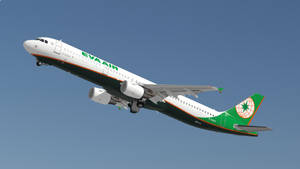 EVA Air 飛機喺晴朗藍天中飛行，起落架放下。