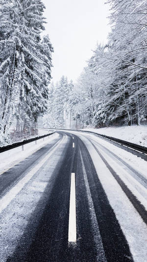 蜿蜒的雪路穿過冬季森林，樹木積雪。