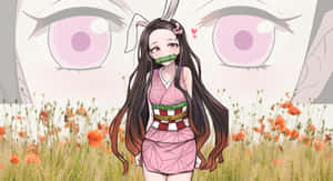 祢豆子照片