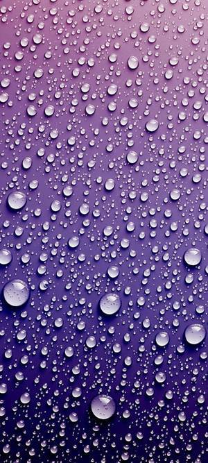 帶有閃爍水滴的紫色漸變背景。 — OnePlus 11 壁紙
