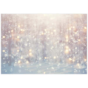 雪花和星爆漂浮在柔和光線的冬日森林場景上。