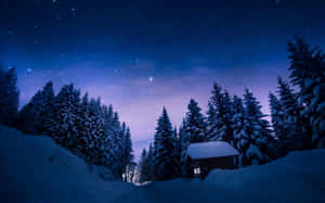 雪覆蓋的小屋在冬季森林中，星空下