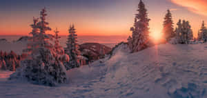 日落時分白雪覆蓋的山景，松樹上結滿了霜。