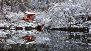 紅色寶塔和橋樑倒映在白雪覆蓋的水面上，周圍是樹木。