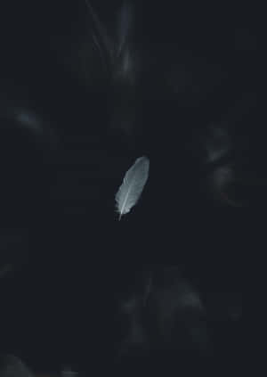 懸浮在深色煙霧中的發光白色羽毛