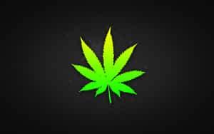 紋理黑色背景上的螢光綠色大麻葉