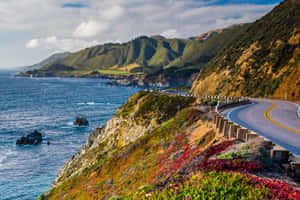 蜿蜒的海岸道路，可欣賞海景，懸崖邊有色彩繽紛的野花