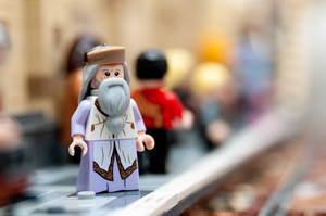 一個LEGO巫師迷你人偶，有長長的灰色鬍鬚和棕色帽子，站在LEGO平台上。
