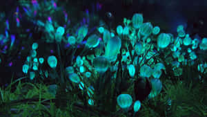 夜間在黑暗森林中發光的生物發光藍色花朵。