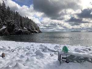 白雪覆蓋的海灘，龍蝦籠和綠色浮標靠近岩石海岸。