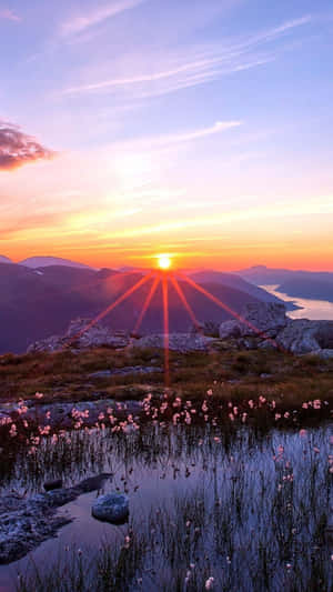 夕陽下山脈、湖泊和前景的粉紅色花朵 — 紅色山脈 壁紙