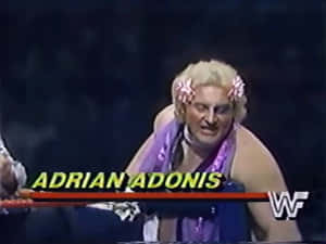 WWE比賽中，身穿紫色服裝、頭髮上戴著粉紅色花朵的摔角手Adrian Adonis。 — 摔角 GIF 壁紙