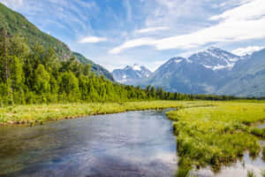 一條蜿蜒的河流流過一片充滿活力的綠色草地，背景是雪山。 — 湖景 壁紙