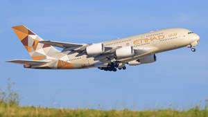 阿提哈德航空A380飛機在藍天下從綠色草地上起飛