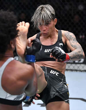 女MMA拳手喺UFC比賽中擋住一腳踢。