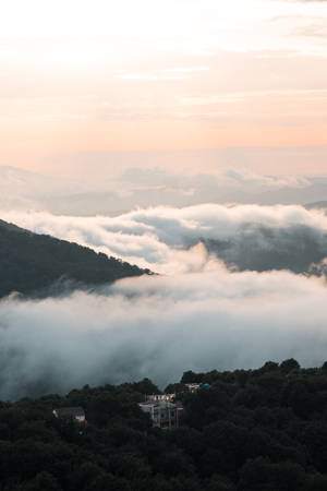 黎明時分被薄霧覆蓋的山谷與粉彩色天空