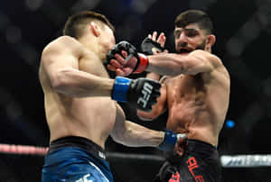 兩名MMA拳手在八角籠中互相出拳，進行UFC比賽。