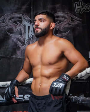 肌肉發達的拳手戴著UFC手套站在有紋身背景的拳擊台上。