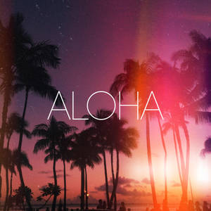 棕櫚樹剪影映襯色彩繽紛的日落，帶有 aloha 文字。