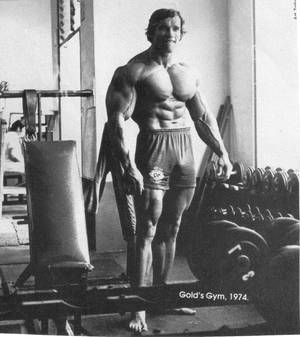 阿諾·舒華辛力加在1974年的健身房展示他肌肉發達的體格。