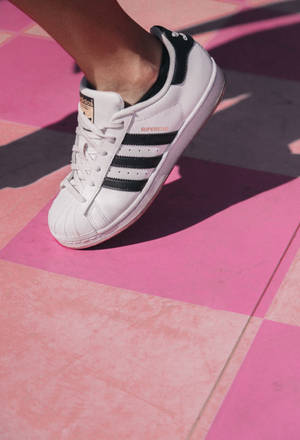 白色adidas Superstar運動鞋在粉紅色瓷磚地板上的特寫。