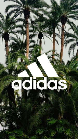 Adidas標誌疊加在茂密的熱帶棕櫚葉上。