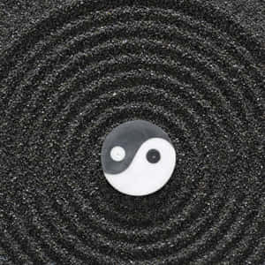 禪園中耙成黑色沙地上的陰陽符號。