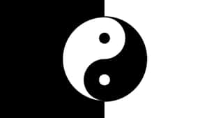 黑白陰陽符號，置於黑白分割的背景上。