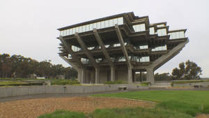 現代粗獷主義混凝土建築，在公園環境中設有玻璃陽台。 — 建築 壁紙