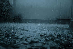 雨滴在潮濕的路面上飛濺，處於暴風雨般的灰色環境中。 — 雨天 壁紙