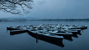 白雪覆蓋的小船在灰色天空下，停泊在平靜的冬日湖面上。 — 湖景 壁紙
