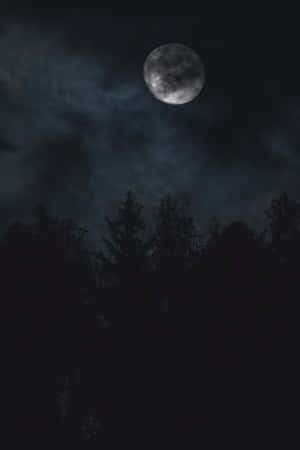 滿月在多雲的夜空下照耀在黑暗的松樹之上 — 月色夜空 壁紙